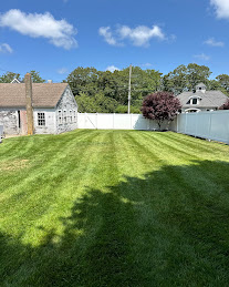 Freshly mowed backyard