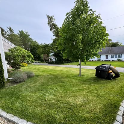 Maintained green lawn
