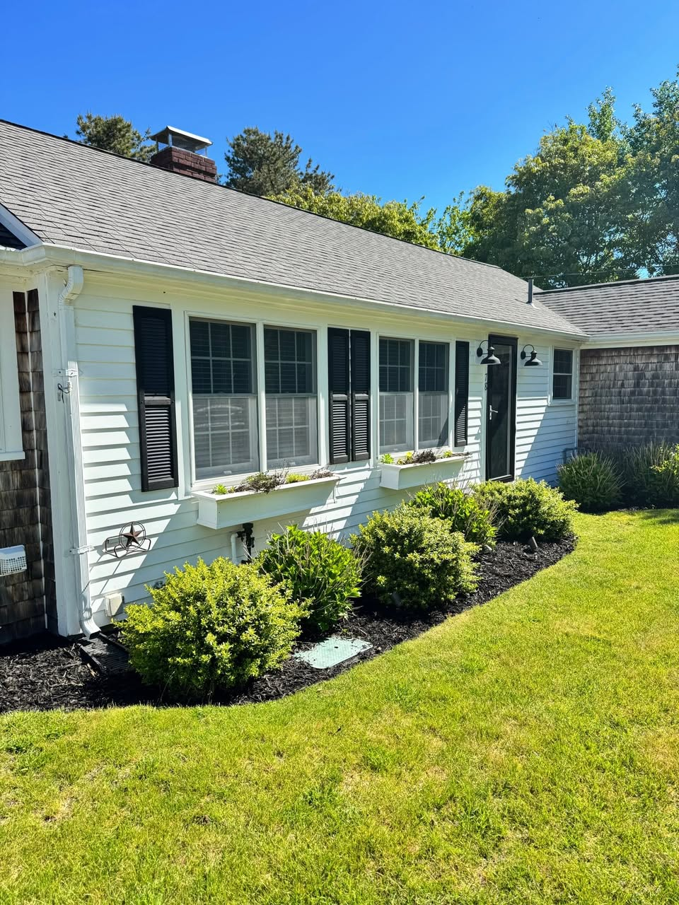 Fresh foundation mulch