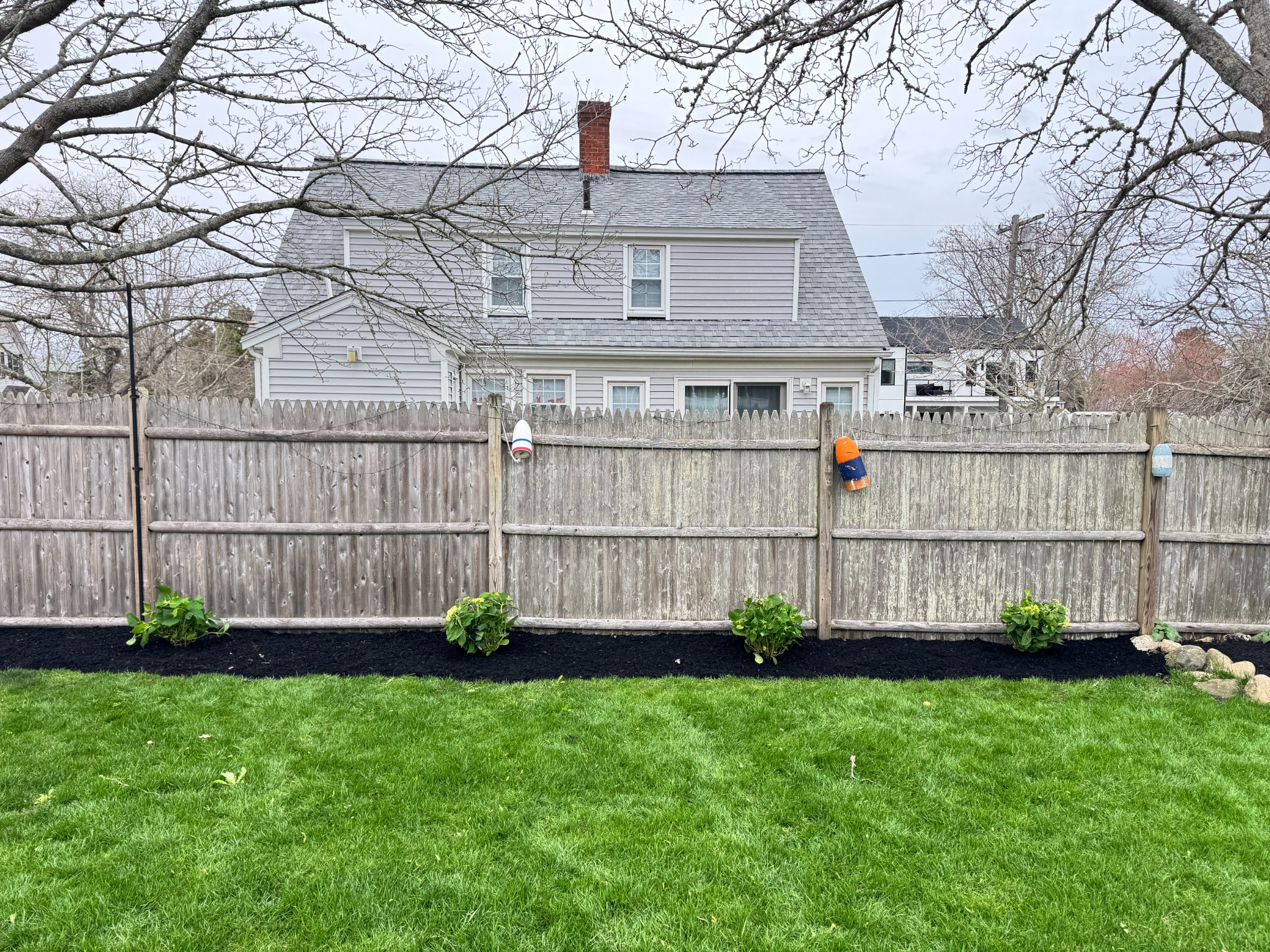 Newly planted shrubs in a freshly mulched garden bed