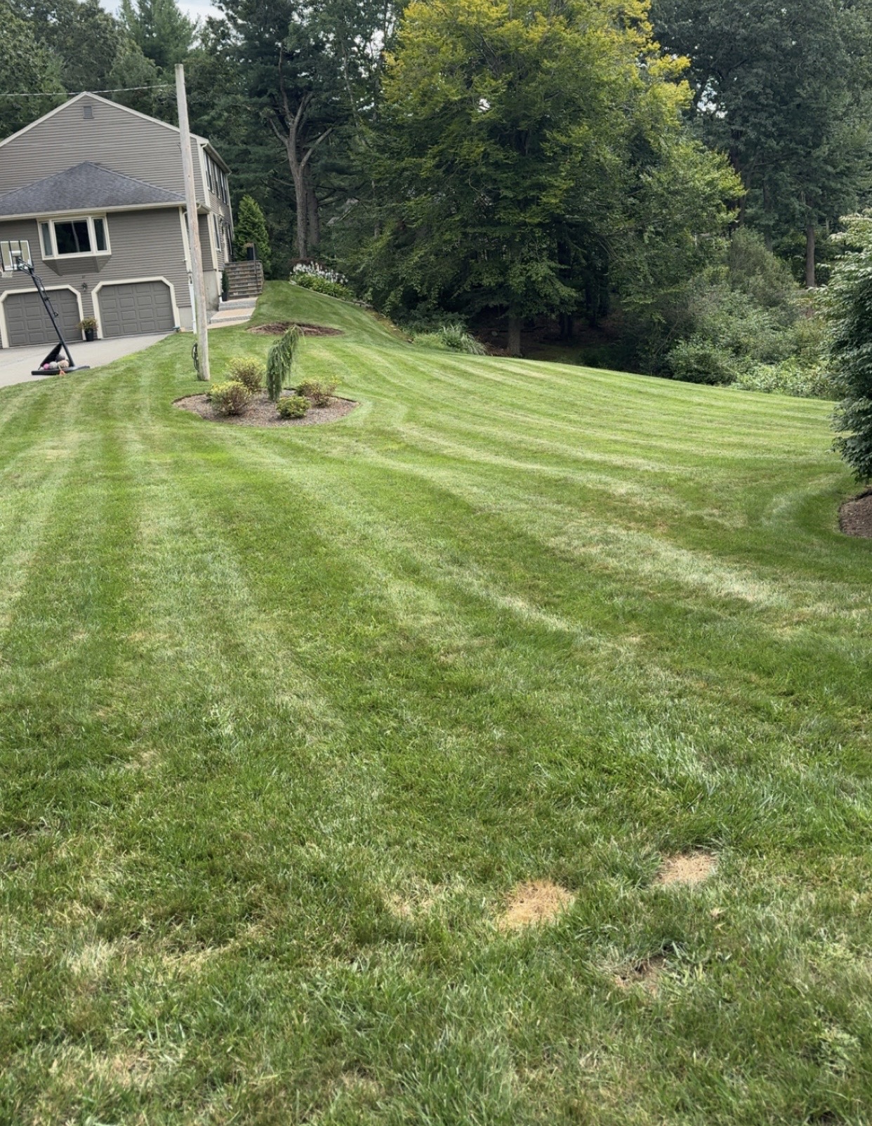 Freshly mowed lawn maintained by GB Landscape